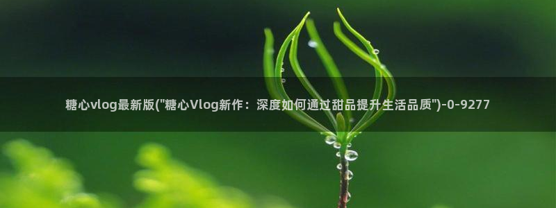 糖心vlog官网进入