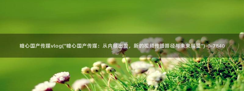 糖心破解版vlog下载