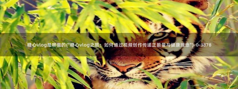 糖心少女vlog免费