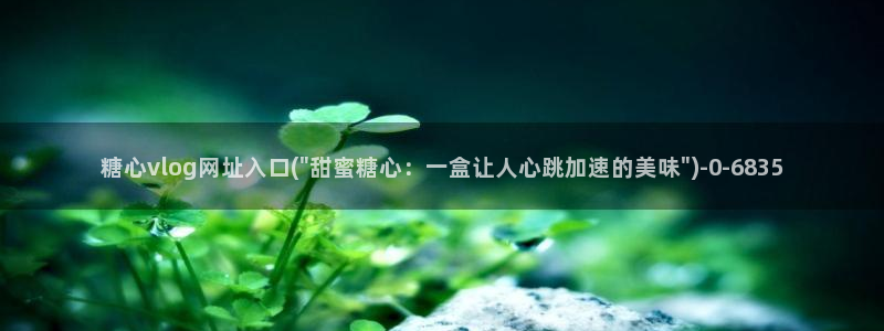 糖心vlog9.1