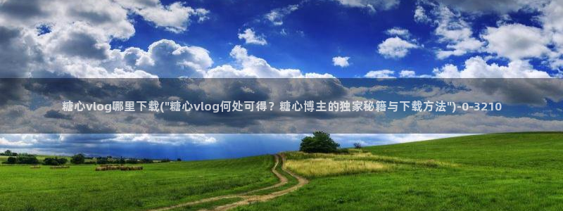 糖心vlog 冉冉学姐
