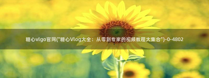 除了糖心vlog还有什么