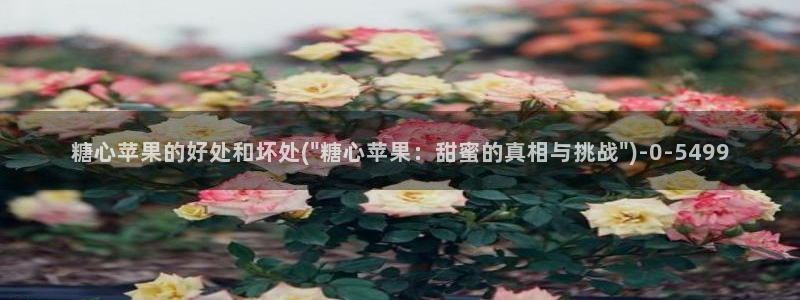 糖心vlog出品