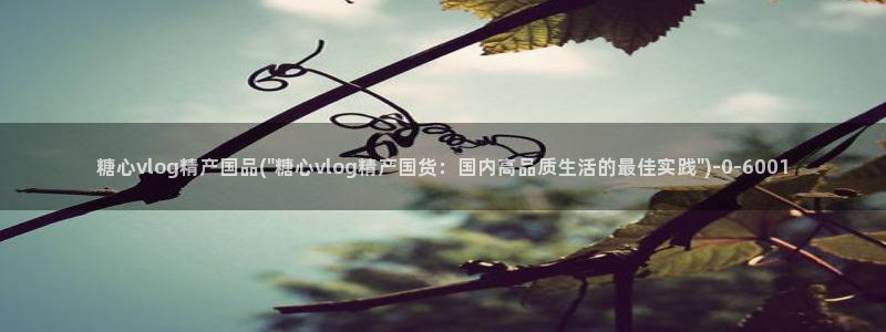 糖心vlog视频