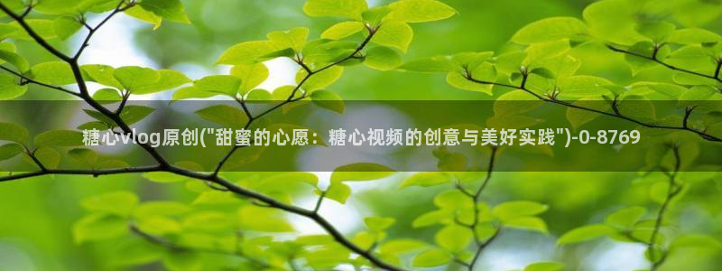 糖心少女vlog孤独的生日