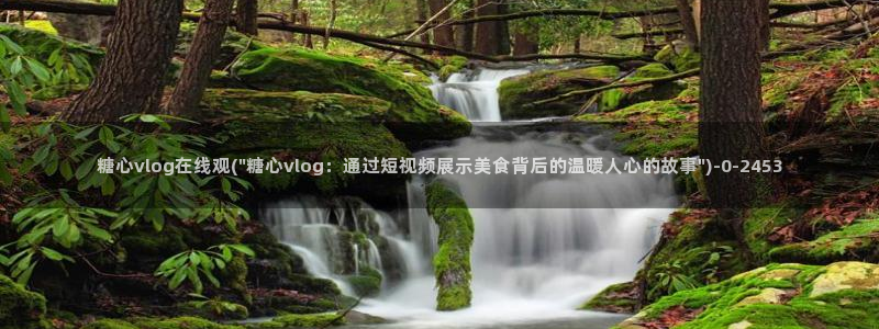 糖心vlog网址入口