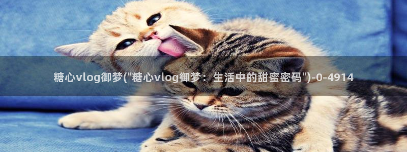 糖心vlog破解版官网