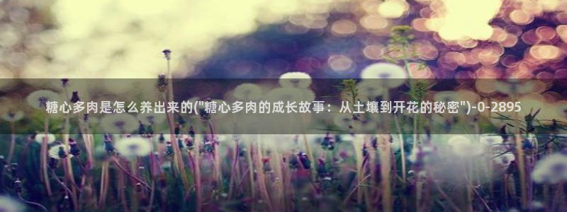 糖心的vlog